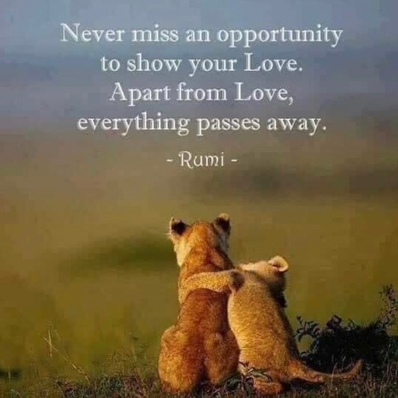 Meet your Posher, Shannon - Picture 10 of 16